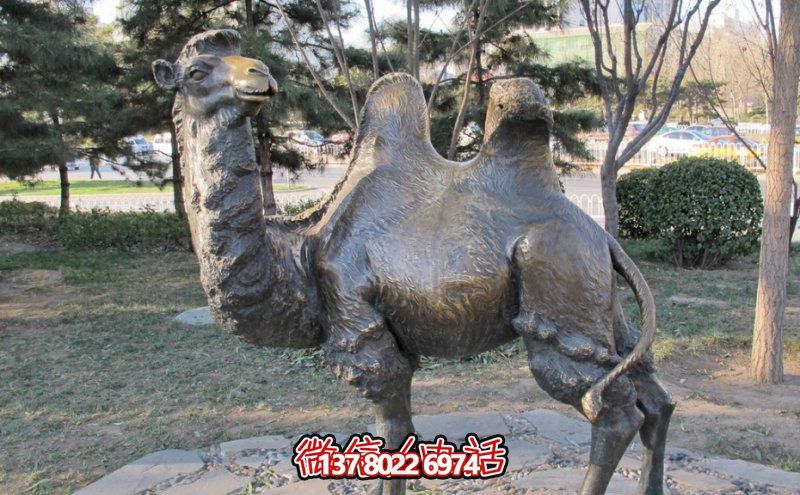 創(chuàng)意大型玻璃鋼駱駝雕塑，在草地上擺放，一眼回頭