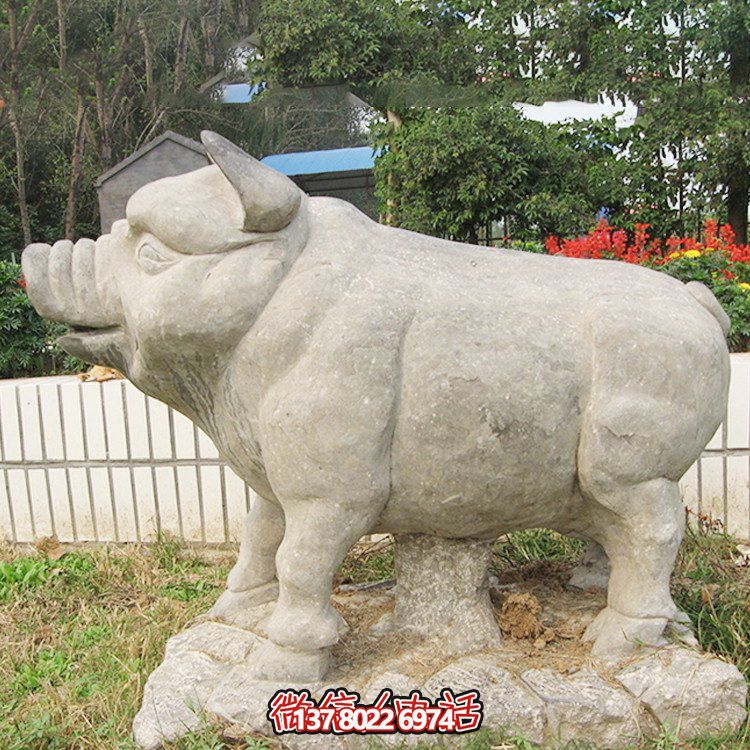 石雕豬，憨態(tài)可掬的大肥豬